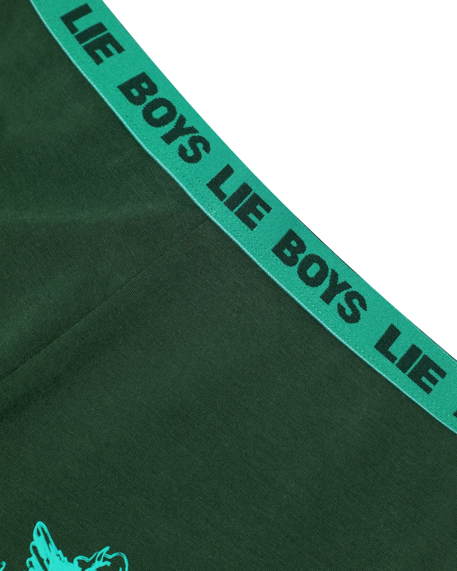 BOYS LIE X Kindling V2 Pant 11 BOYS LIE X Kindling V2 Pant - Image 9